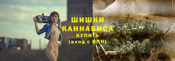 дмт Осташков