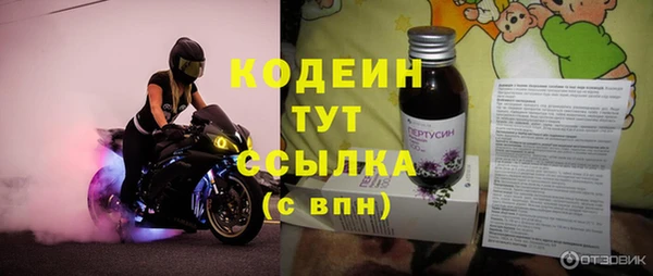 дмт Осташков