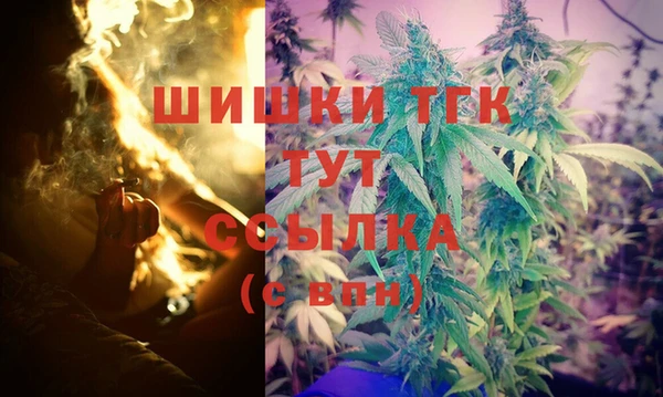 apvp Осинники