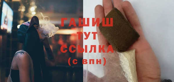 дмт Осташков
