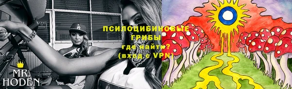 дмт Осташков