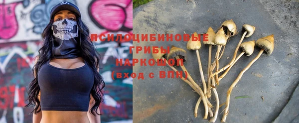 apvp Осинники
