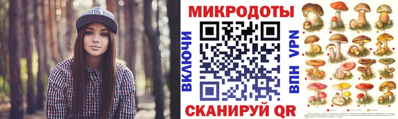 как найти закладки  Яранск  Псилоцибиновые грибы Cubensis 